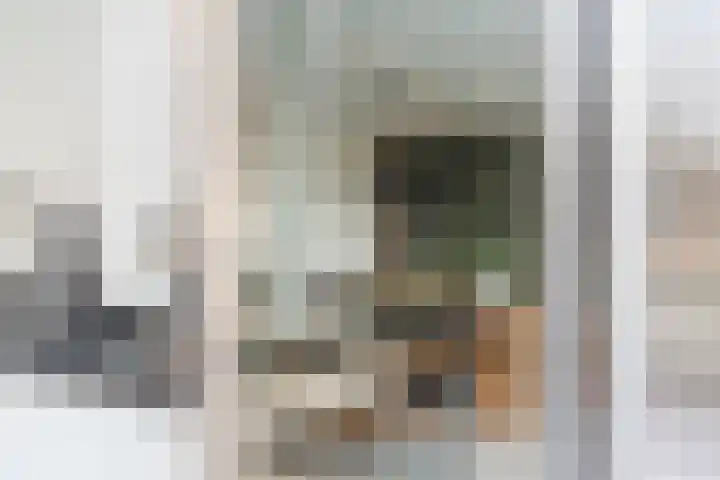 Beneden Beekloop 57 Geldrop thumbnail 24