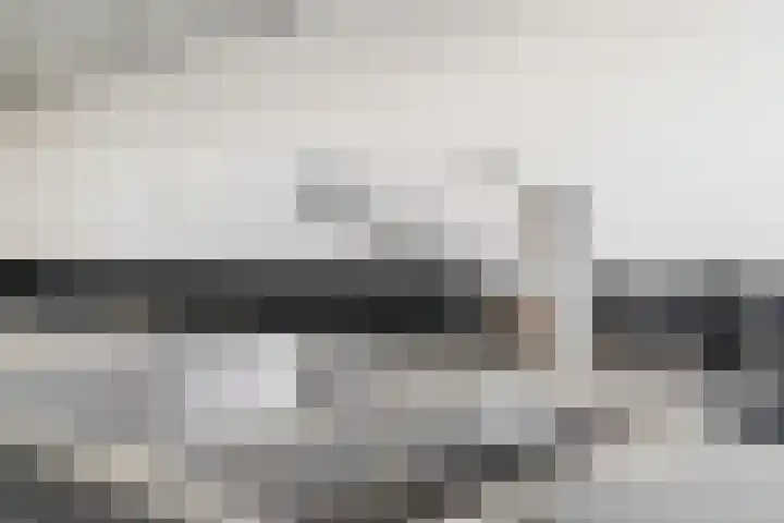 Beneden Beekloop 57 Geldrop thumbnail 25