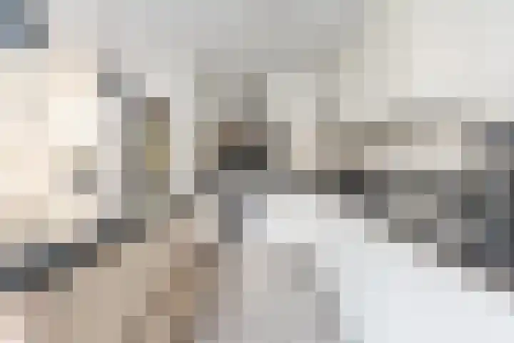 Beneden Beekloop 57 Geldrop thumbnail 26