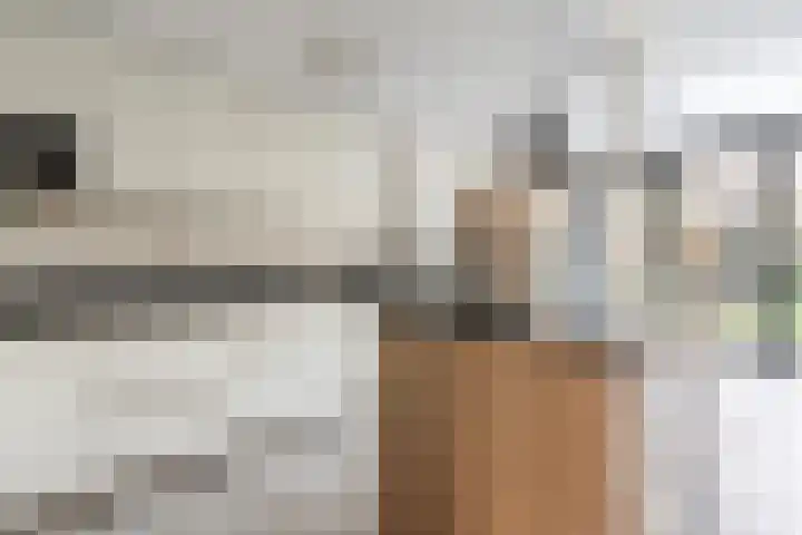 Beneden Beekloop 57 Geldrop thumbnail 28