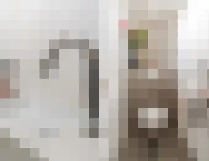 Beneden Beekloop 57 Geldrop thumbnail 30
