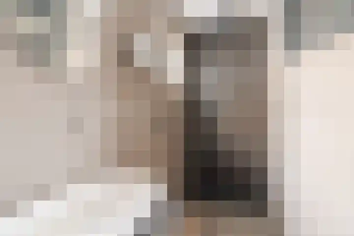 Beneden Beekloop 57 Geldrop thumbnail 38