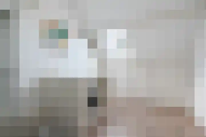 Beneden Beekloop 57 Geldrop thumbnail 41
