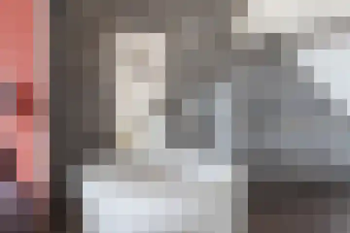 Beneden Beekloop 57 Geldrop thumbnail 44