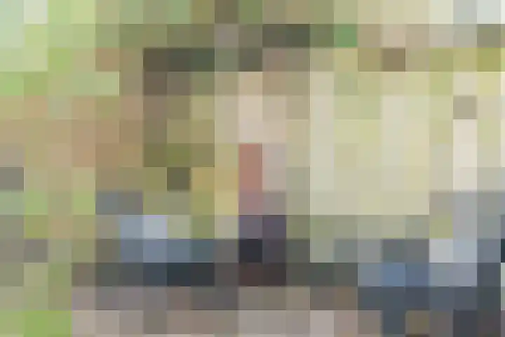 Beneden Beekloop 57 Geldrop thumbnail 47
