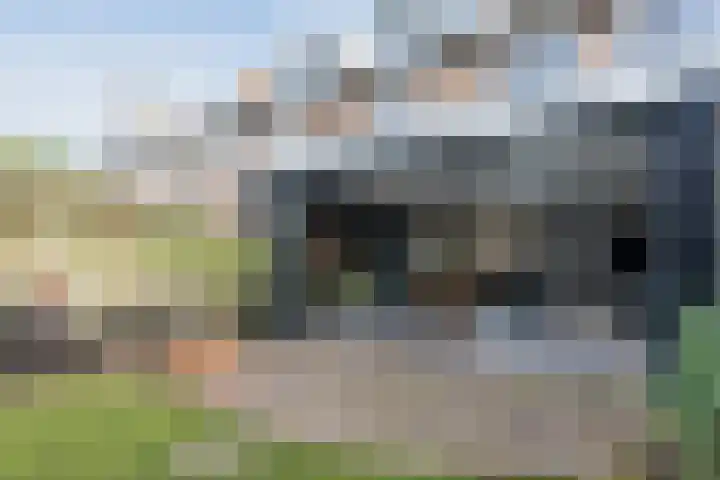 Beneden Beekloop 57 Geldrop thumbnail 51