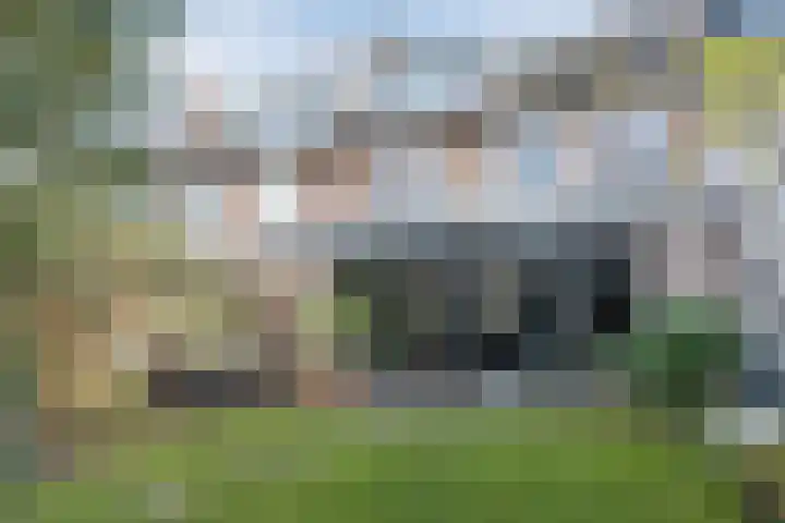 Beneden Beekloop 57 Geldrop thumbnail 52