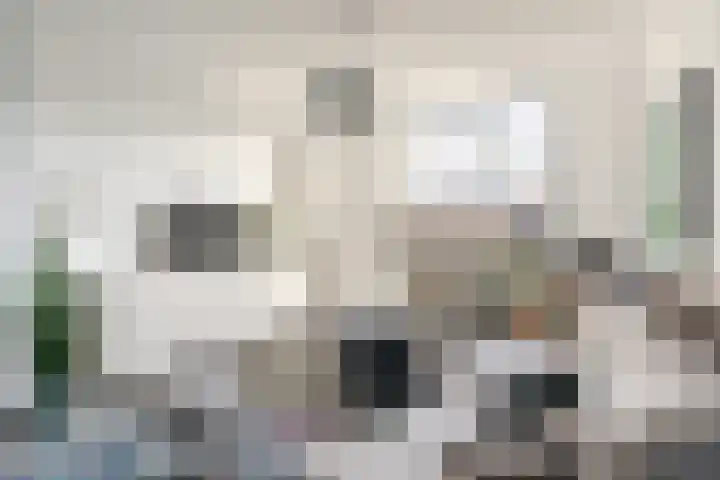 Beneden Beekloop 57 Geldrop thumbnail 6