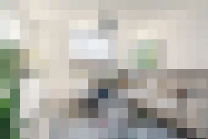 Beneden Beekloop 57 Geldrop thumbnail 7