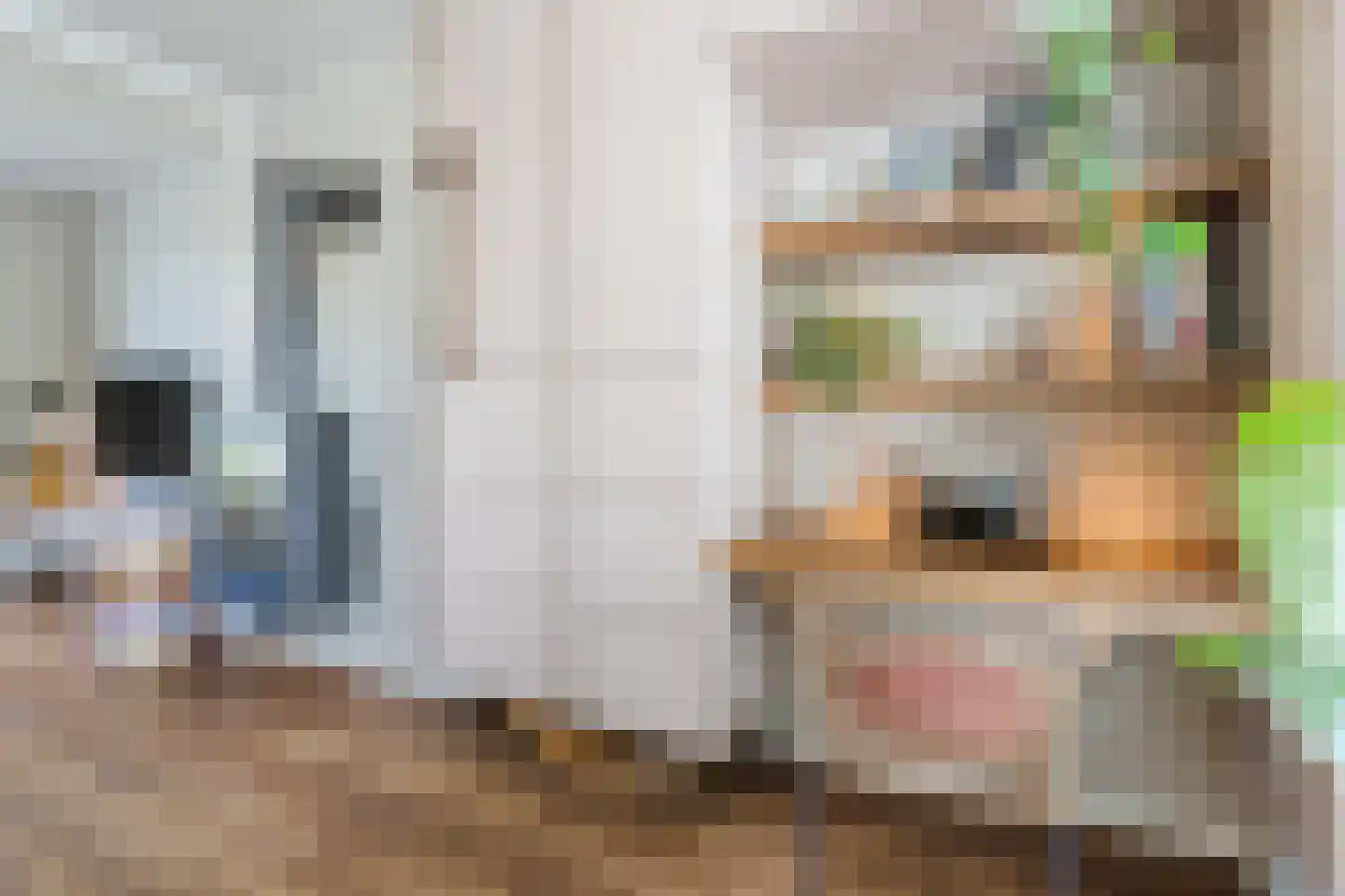 Beneden Beekloop 70 Geldrop thumbnail 12
