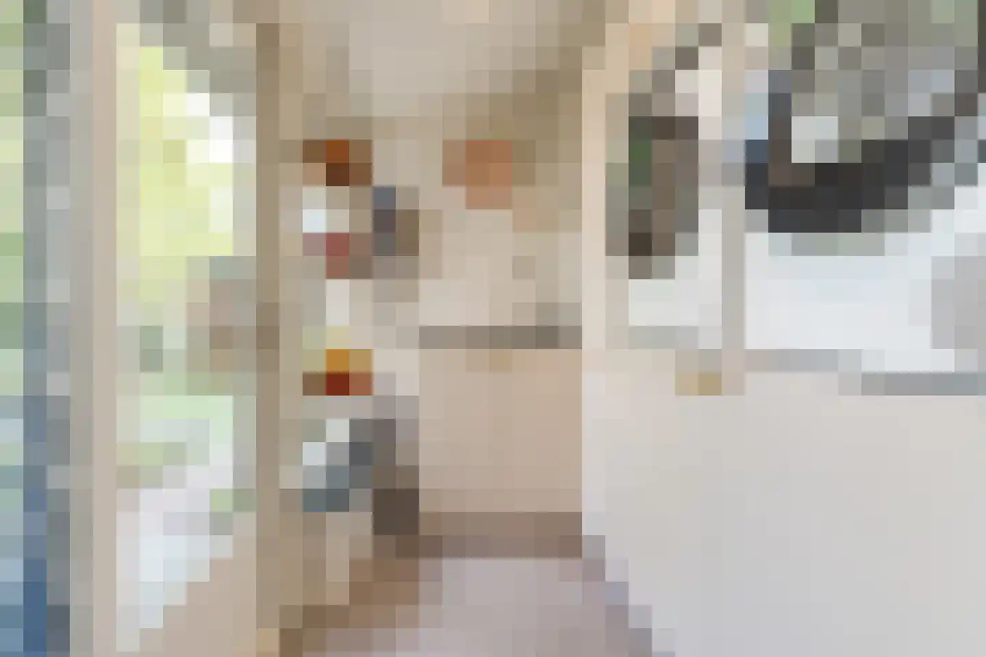 Beneden Beekloop 70 Geldrop thumbnail 20