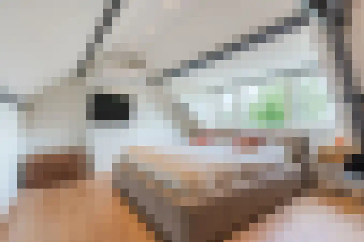 Beneden Beekloop 70 Geldrop thumbnail 40