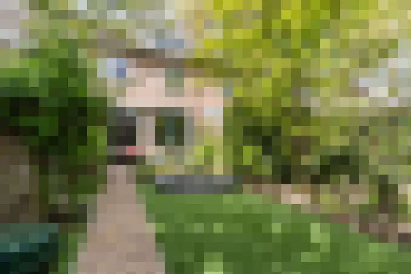 Beneden Beekloop 70 Geldrop thumbnail 43