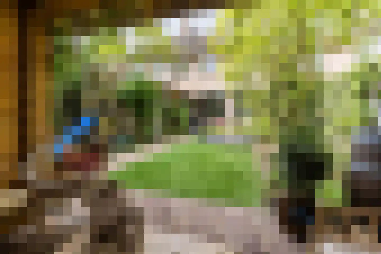 Beneden Beekloop 70 Geldrop thumbnail 45