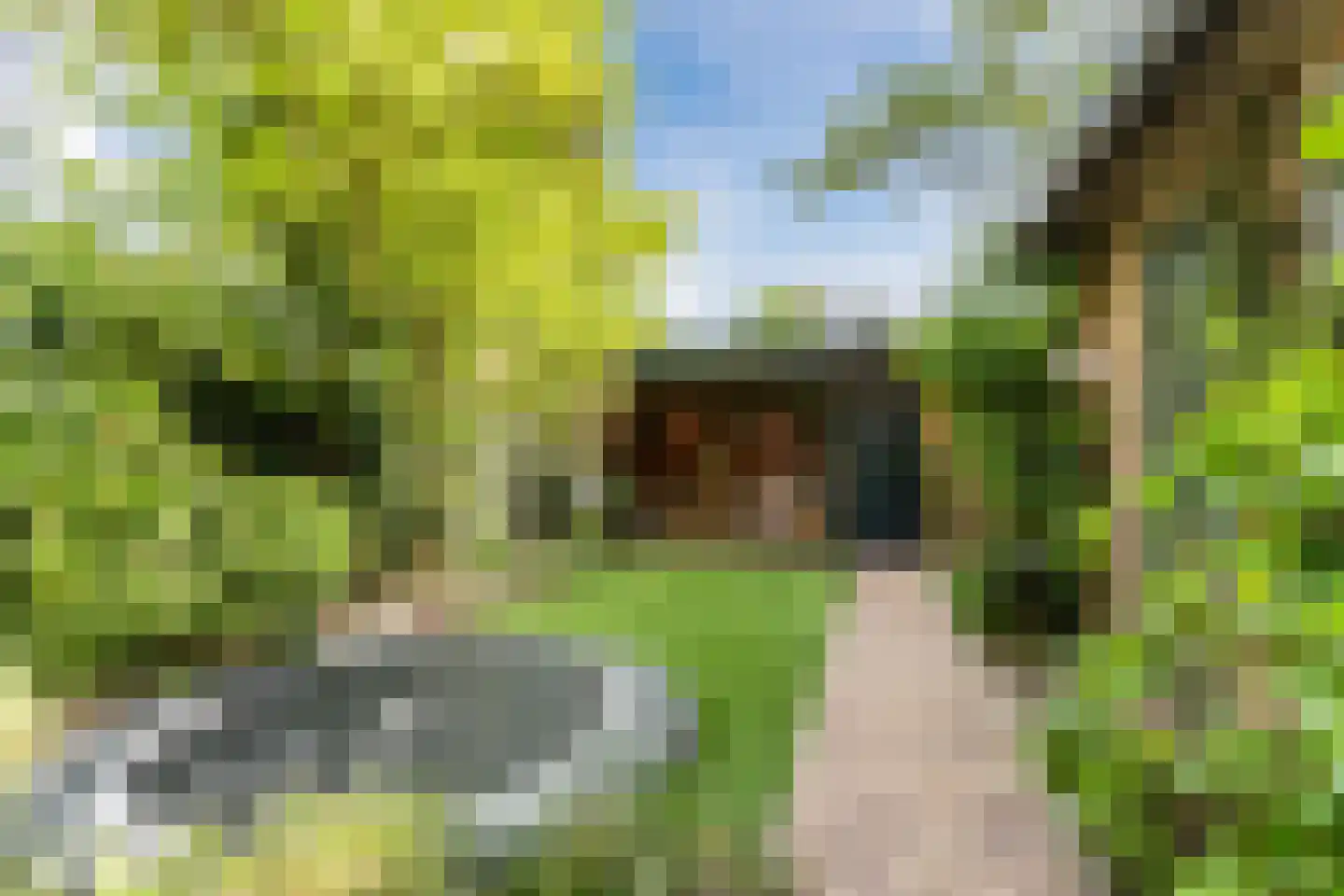 Beneden Beekloop 70 Geldrop thumbnail 49