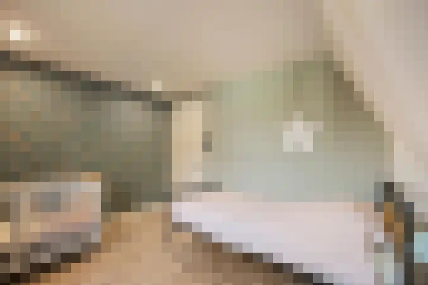 Beneden Boukoul 24 Swalmen thumbnail 32
