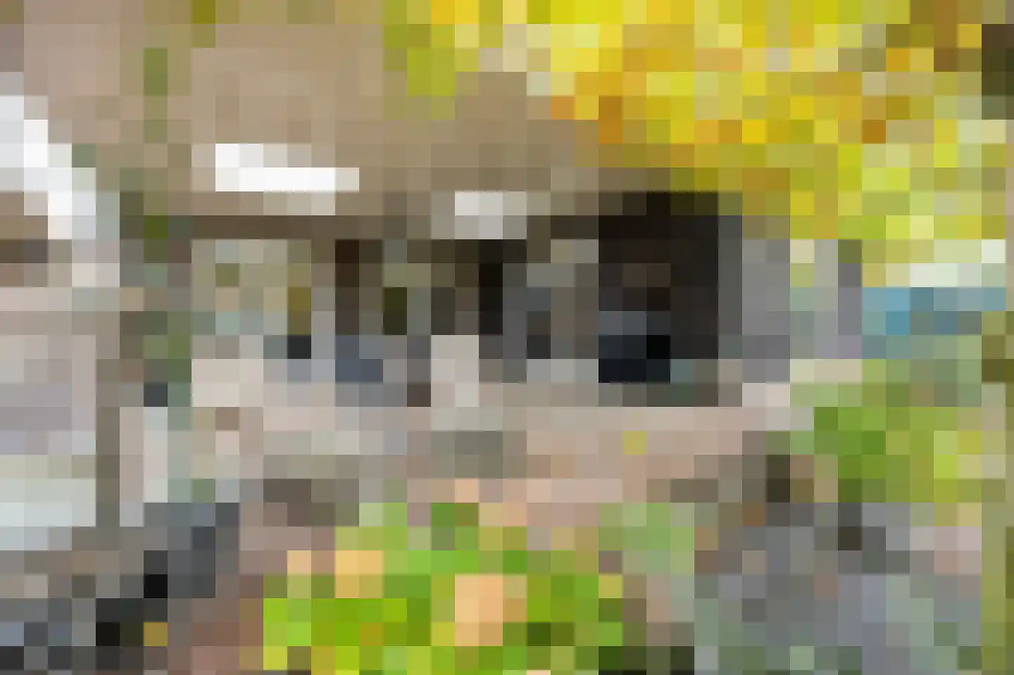 Beneden Boukoul 24 Swalmen thumbnail 44
