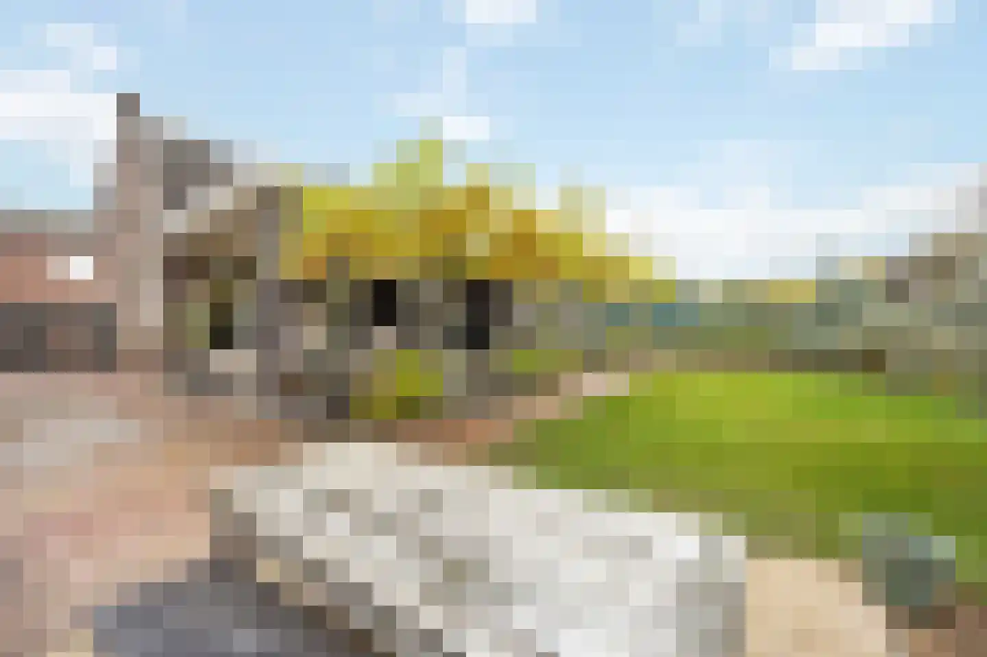 Beneden Boukoul 24 Swalmen thumbnail 45