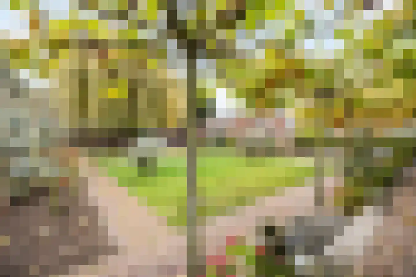 Beneden Boukoul 24 Swalmen thumbnail 47