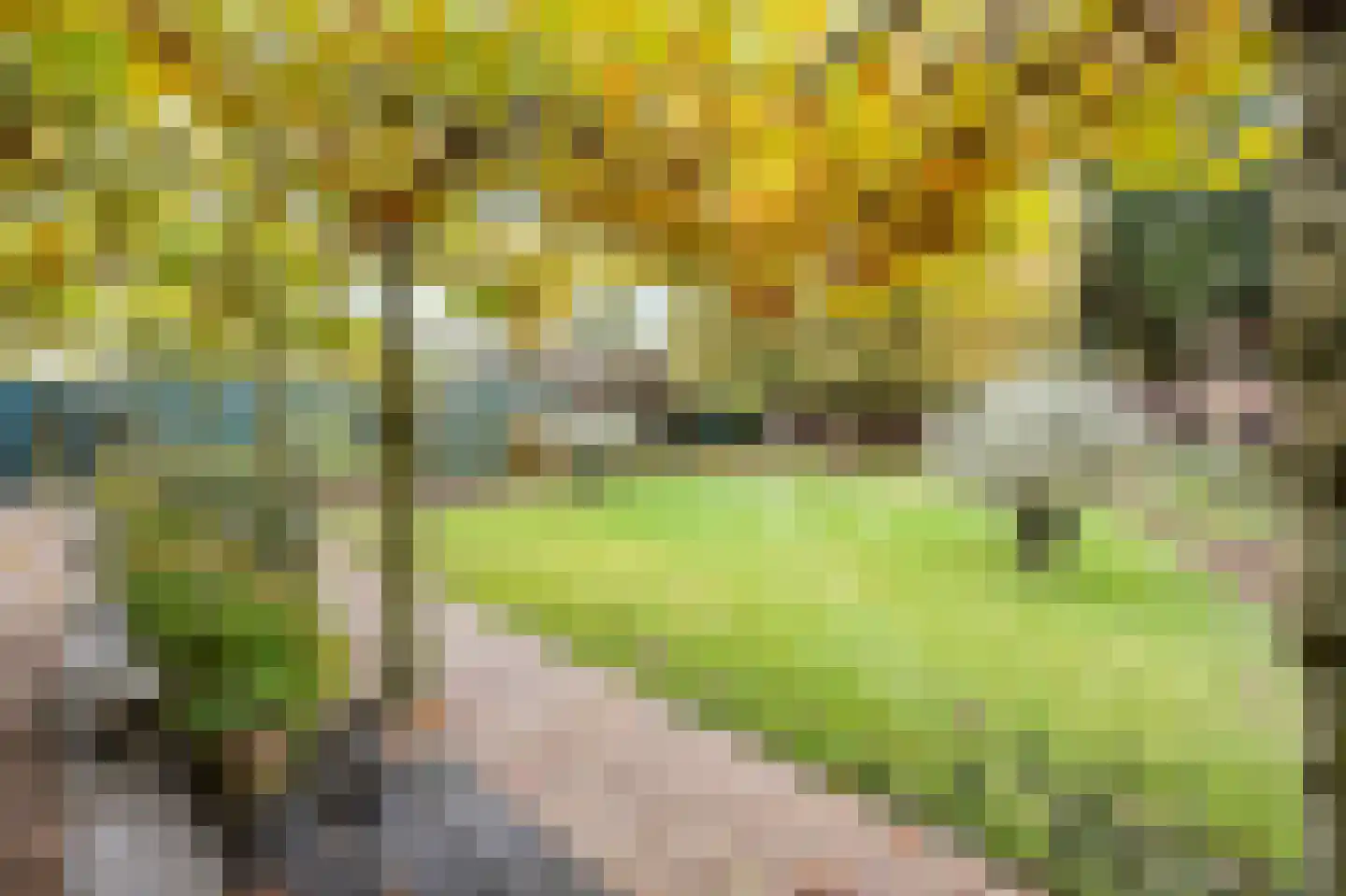 Beneden Boukoul 24 Swalmen thumbnail 48