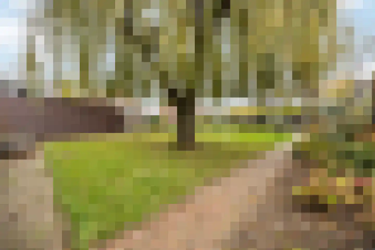 Beneden Boukoul 24 Swalmen thumbnail 49