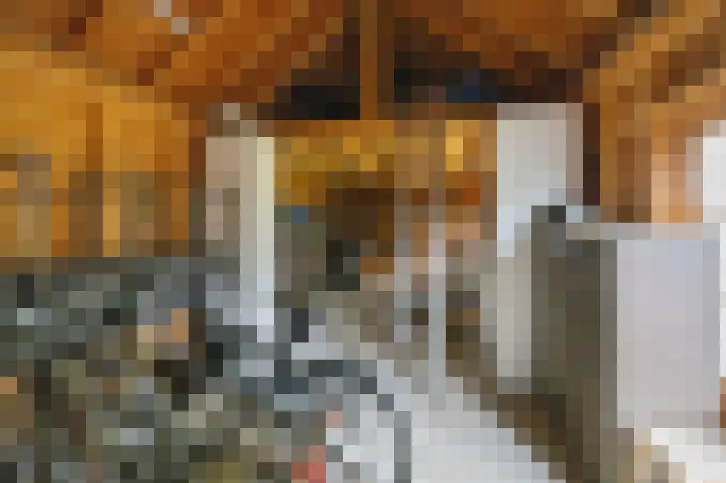 Beneden Boukoul 24 Swalmen thumbnail 52