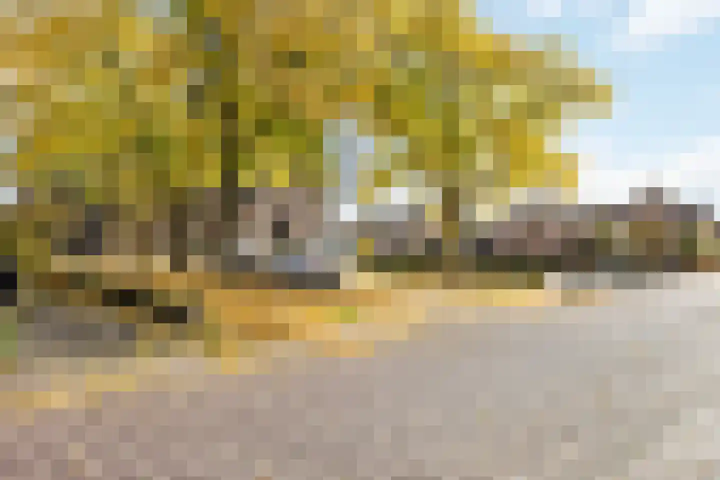 Beneden Boukoul 24 Swalmen thumbnail 55