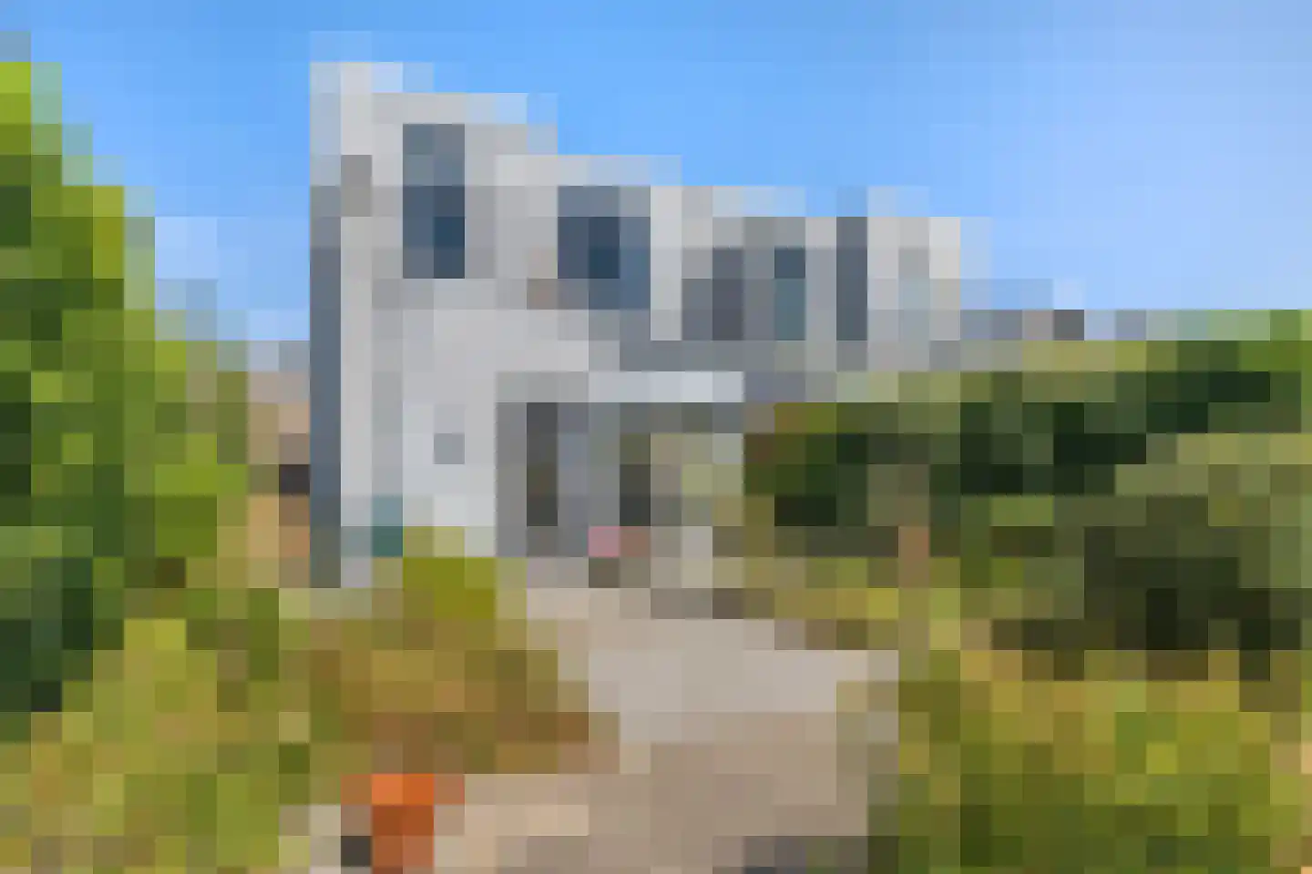 Beneden Molendijk 49 Oud-Beijerland thumbnail 15