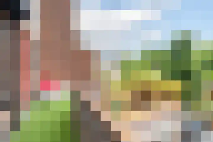 Beneden Molendijk 5 Oud-Beijerland thumbnail 17