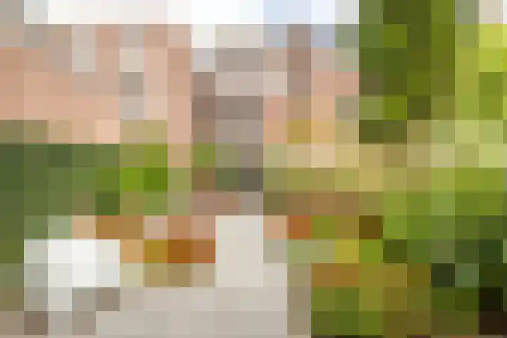 Beneden Molendijk 5 Oud-Beijerland thumbnail 31
