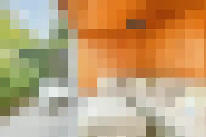 Beneden Molendijk 5 Oud-Beijerland thumbnail 37