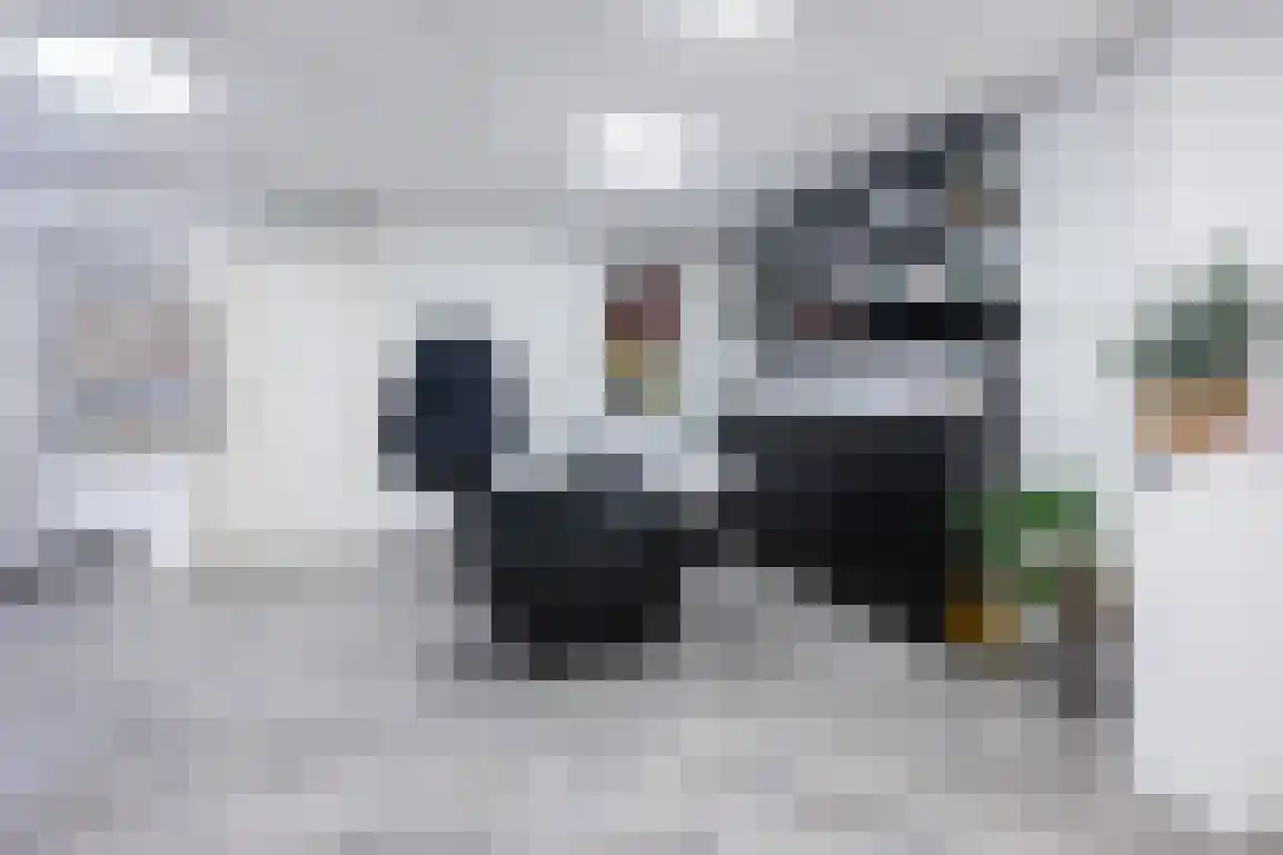 Beneden Molendijk 6 Ooltgensplaat thumbnail 13