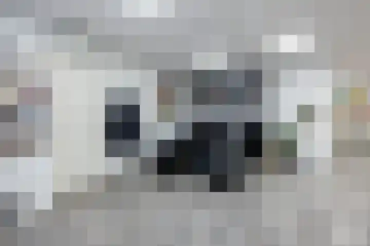 Beneden Molendijk 6 Ooltgensplaat thumbnail 14