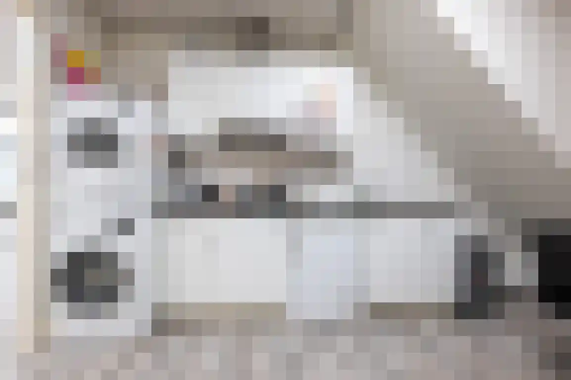 Beneden Molendijk 6 Ooltgensplaat thumbnail 21
