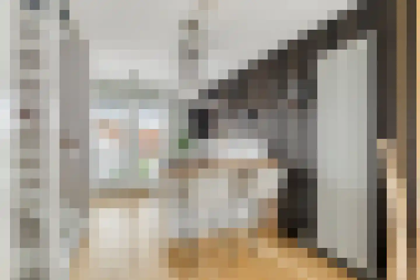 Beneden Molendijk 7 Ooltgensplaat thumbnail 10