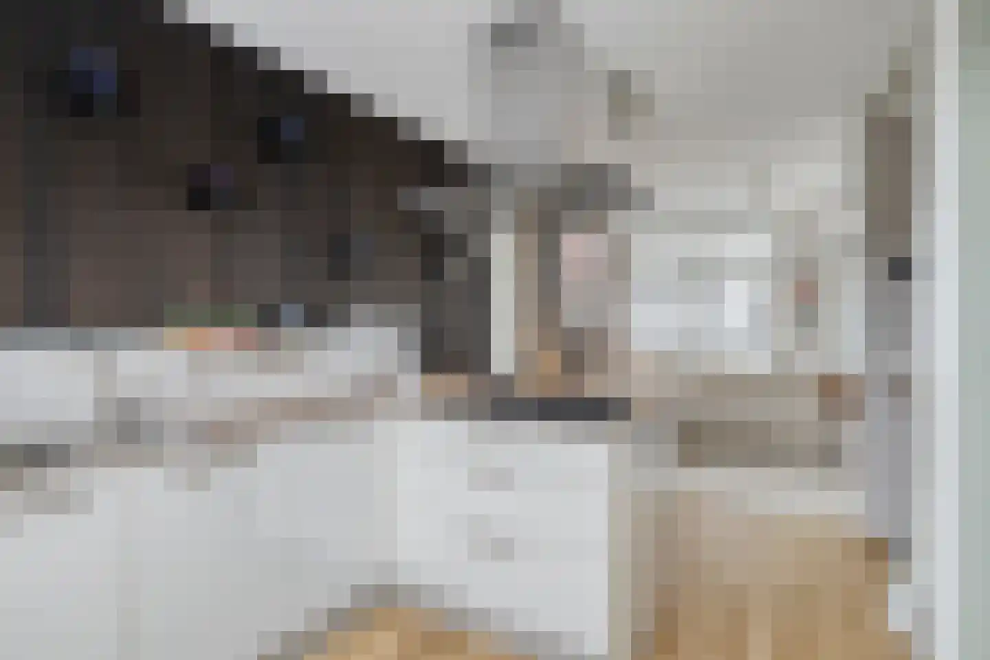 Beneden Molendijk 7 Ooltgensplaat thumbnail 13