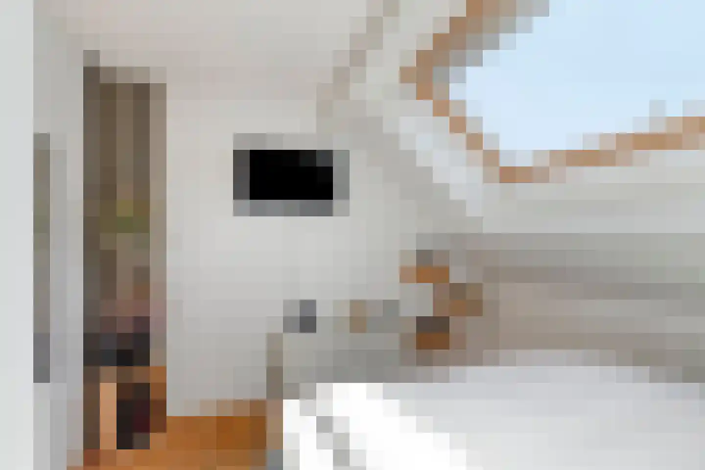 Beneden Molendijk 7 Ooltgensplaat thumbnail 20