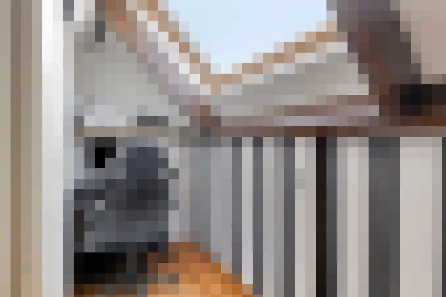Beneden Molendijk 7 Ooltgensplaat thumbnail 21