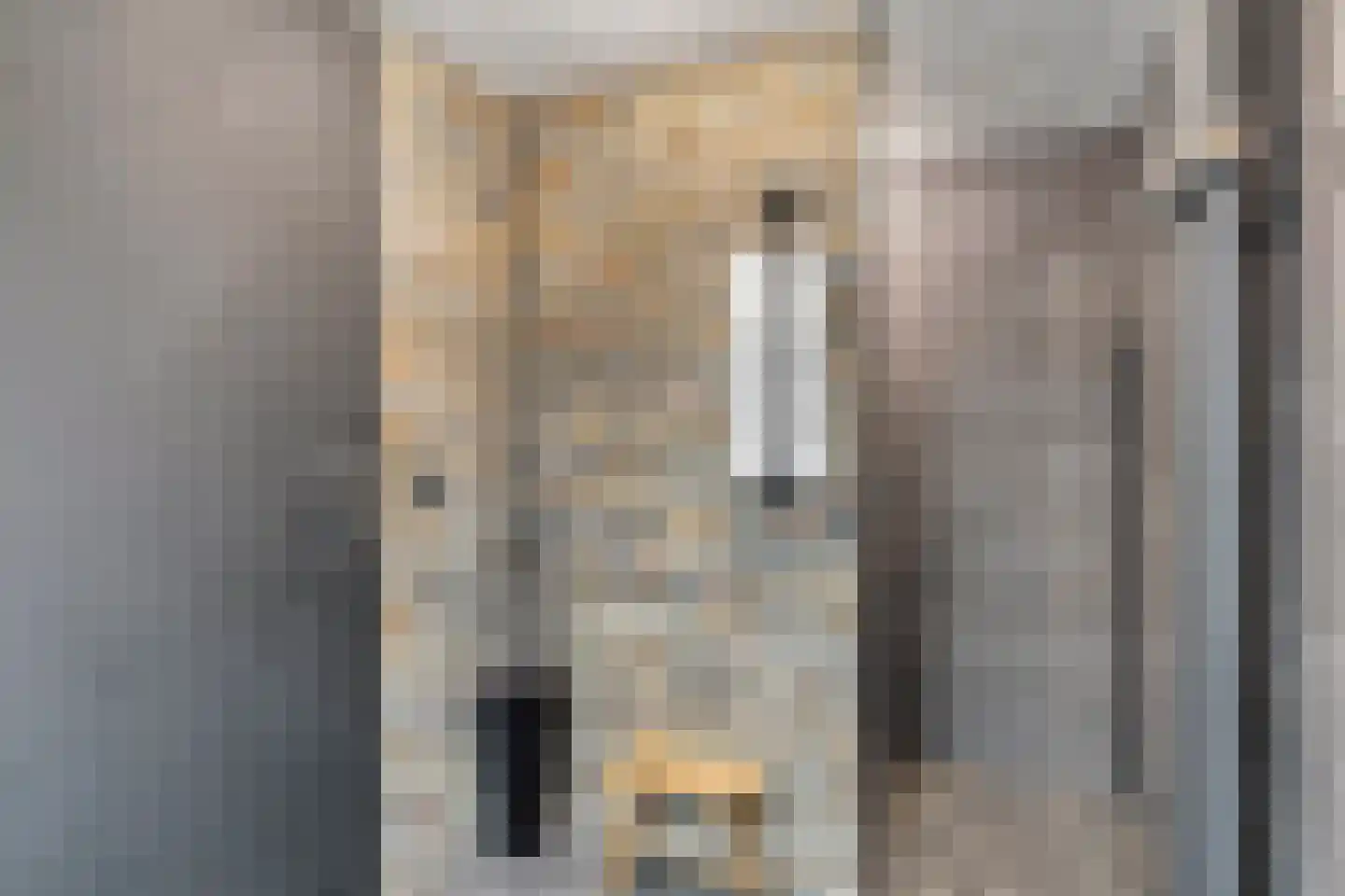 Beneden Molendijk 7 Ooltgensplaat thumbnail 5