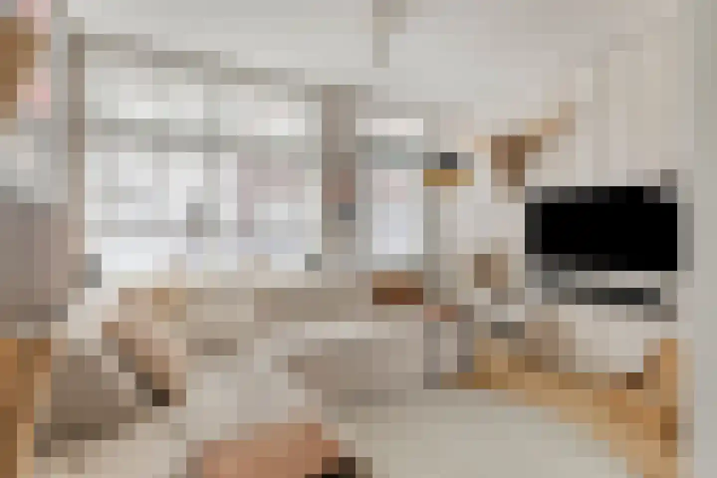 Beneden Molendijk 7 Ooltgensplaat thumbnail 8