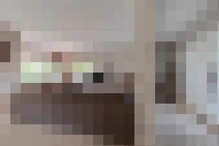 Beneden Molenweg 24 Beusichem thumbnail 10