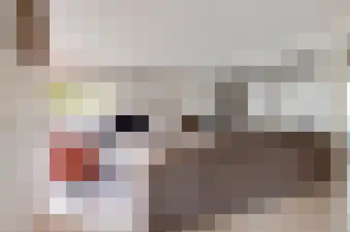 Beneden Molenweg 24 Beusichem thumbnail 11