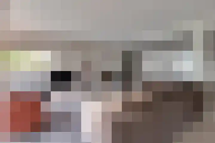 Beneden Molenweg 24 Beusichem thumbnail 12