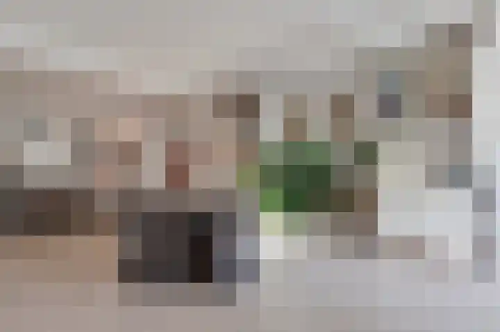 Beneden Molenweg 24 Beusichem thumbnail 15