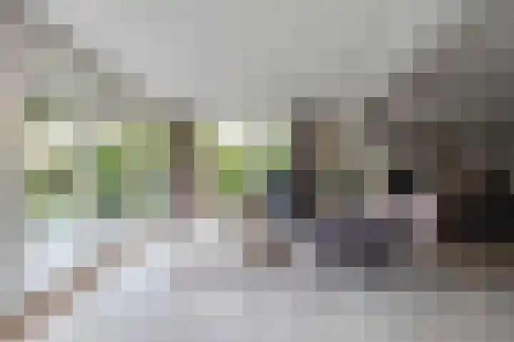 Beneden Molenweg 24 Beusichem thumbnail 18