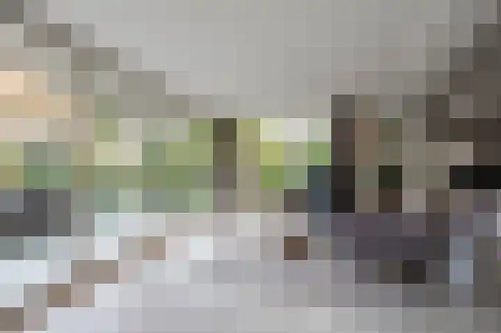Beneden Molenweg 24 Beusichem thumbnail 19