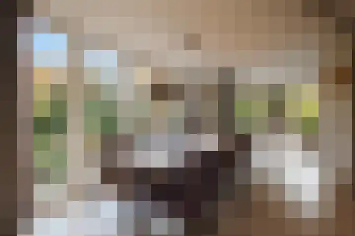 Beneden Molenweg 24 Beusichem thumbnail 23