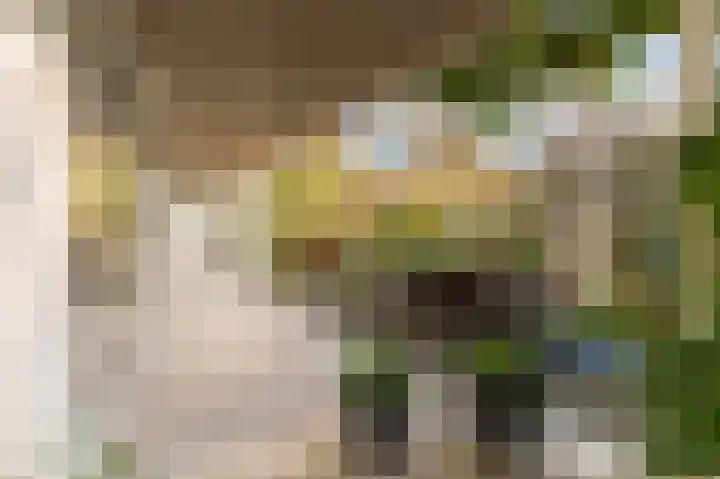 Beneden Molenweg 24 Beusichem thumbnail 29
