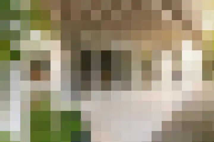 Beneden Molenweg 24 Beusichem thumbnail 31
