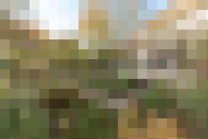 Beneden Molenweg 24 Beusichem thumbnail 33